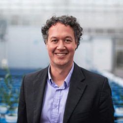 Professor Andrew Lowe (AUS)